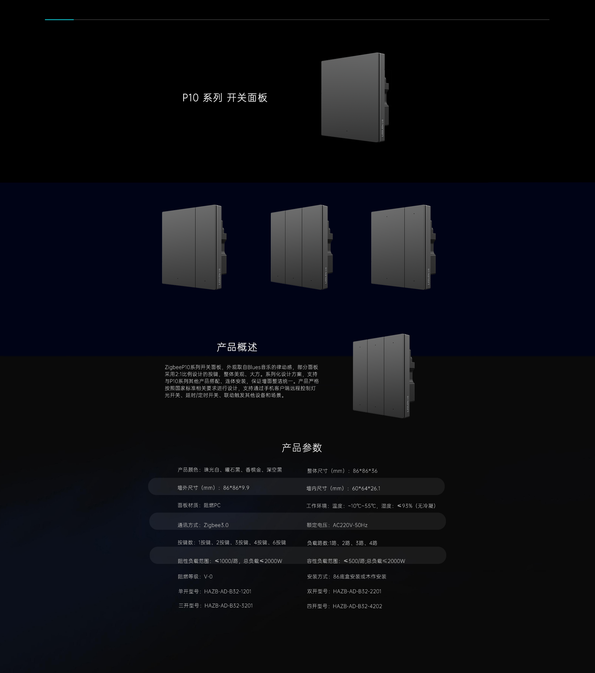 P10系列 开关面板