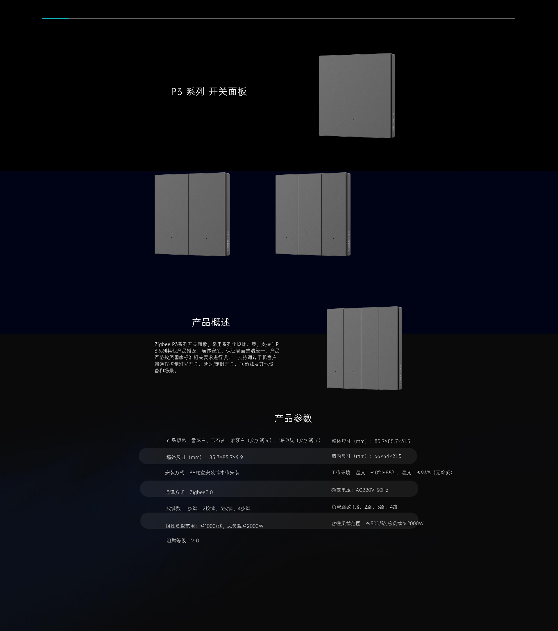 P3系列 开关面板